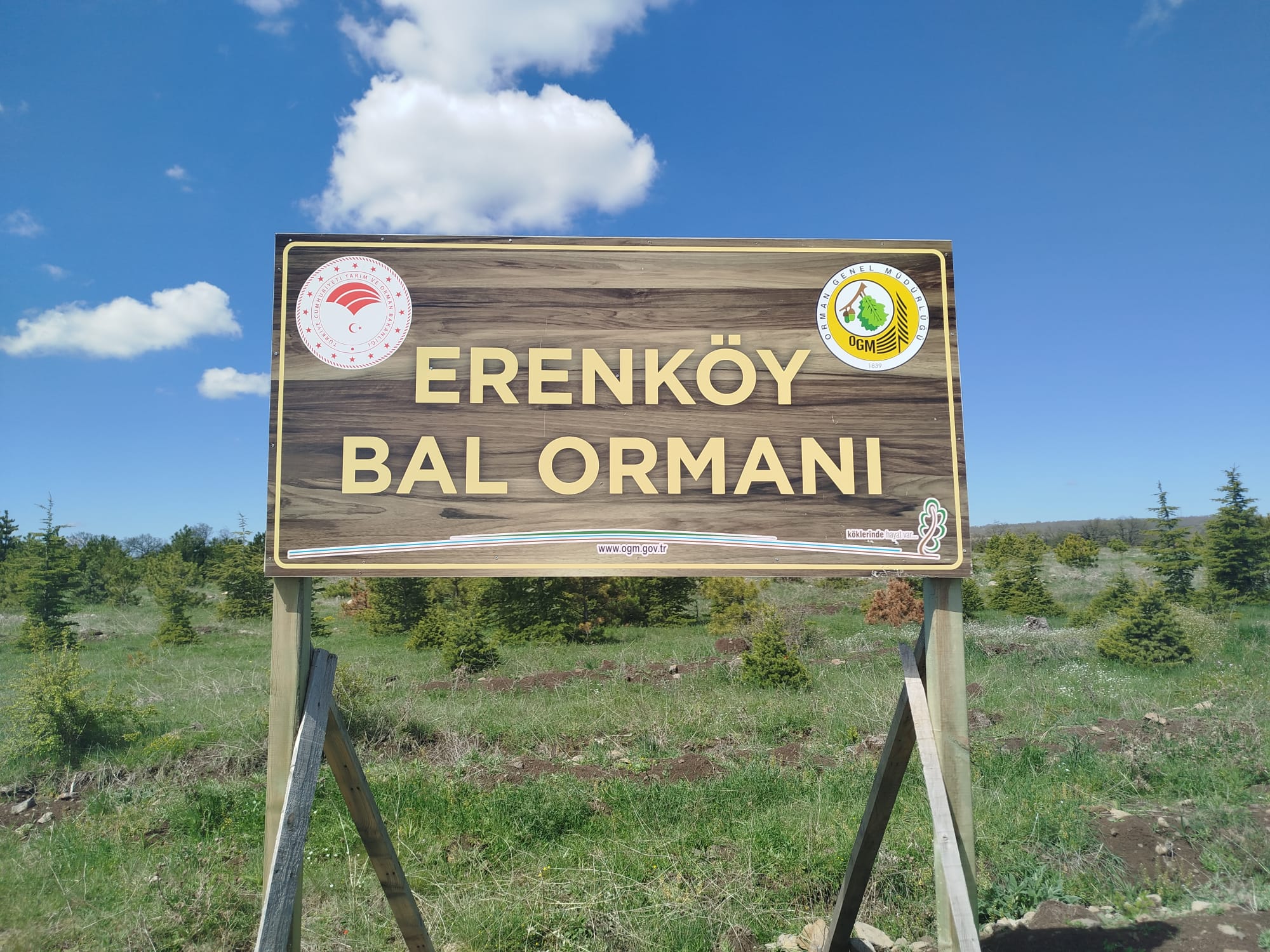 Eskişehir İnönü Erenköy Bal Ormanı Giriş Tabelası